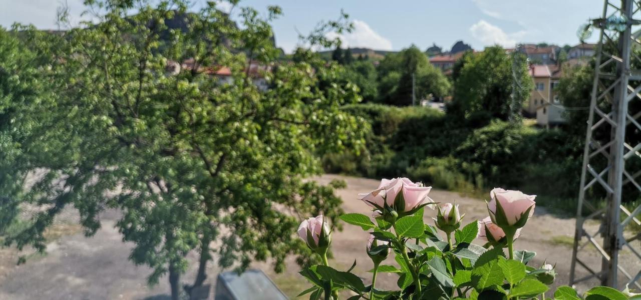 Fortress View Apartment Belogradcic Exterior foto